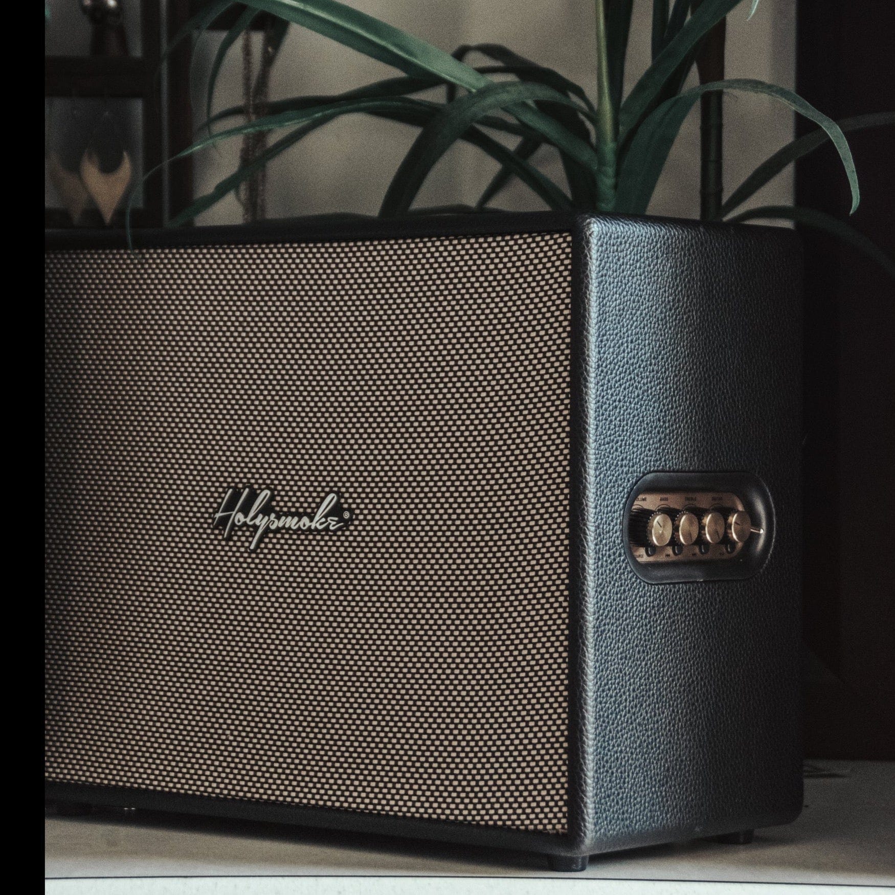 Classic Sound with Modern Convenience: Portable Bluetooth Speaker
