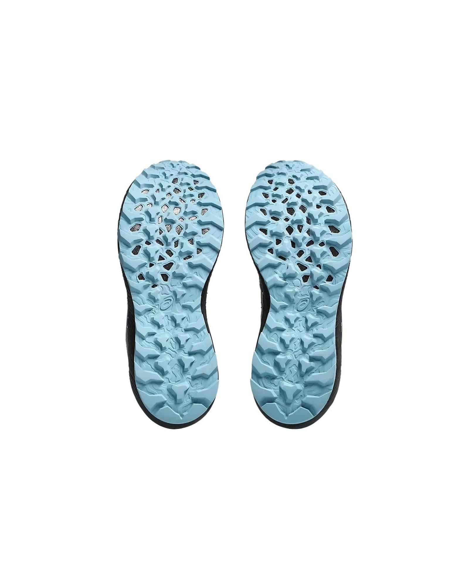 Comfortable Asics Trail Women'S Running Shoes