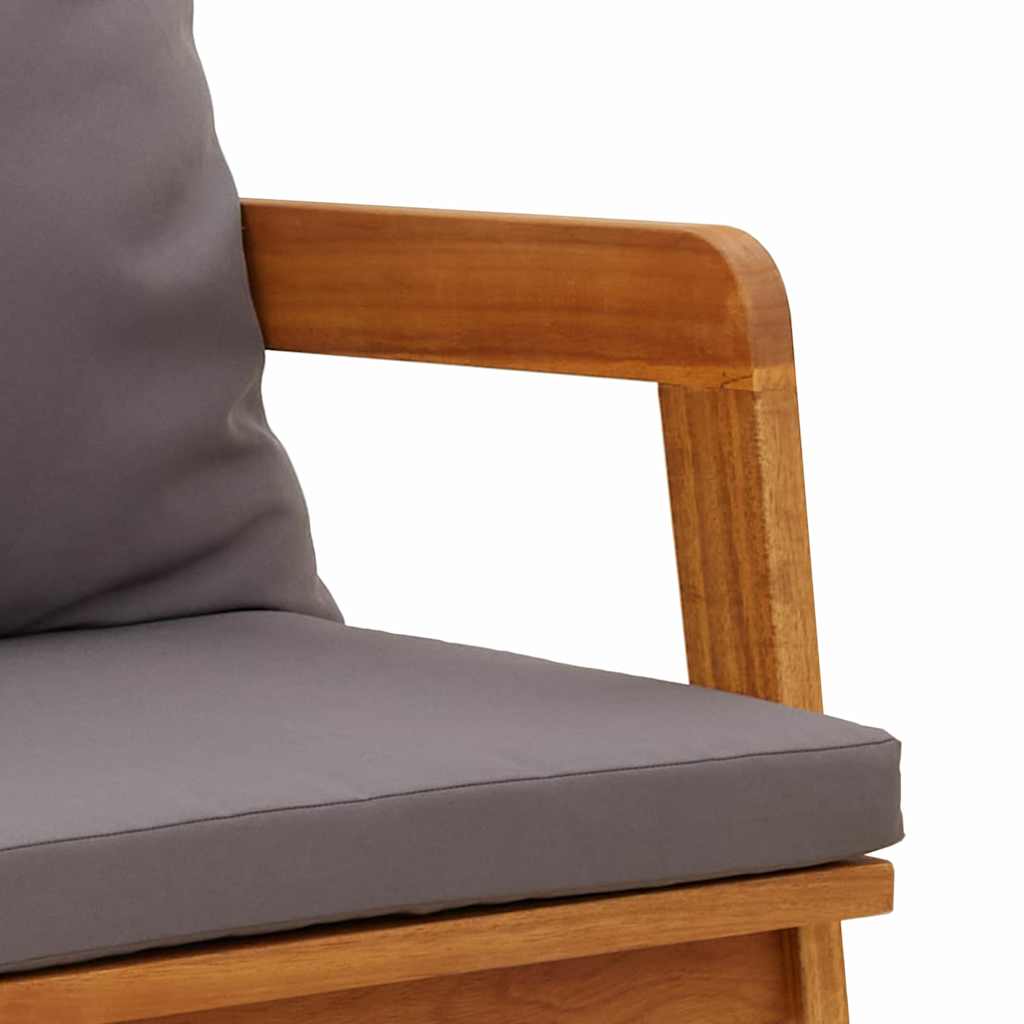 Contemporary Garden Bench with Cushion Oil Home Decor Accent Urban Style
