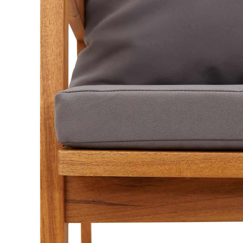 Contemporary Garden Bench with Cushion Oil Home Decor Accent Urban Style