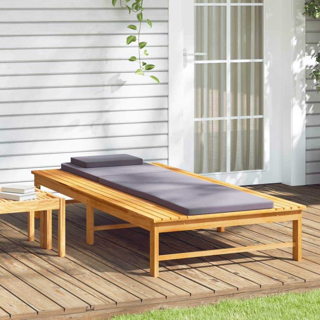 Contemporary Sun Lounger with Dark Grey Relaxing Seating Modern Living