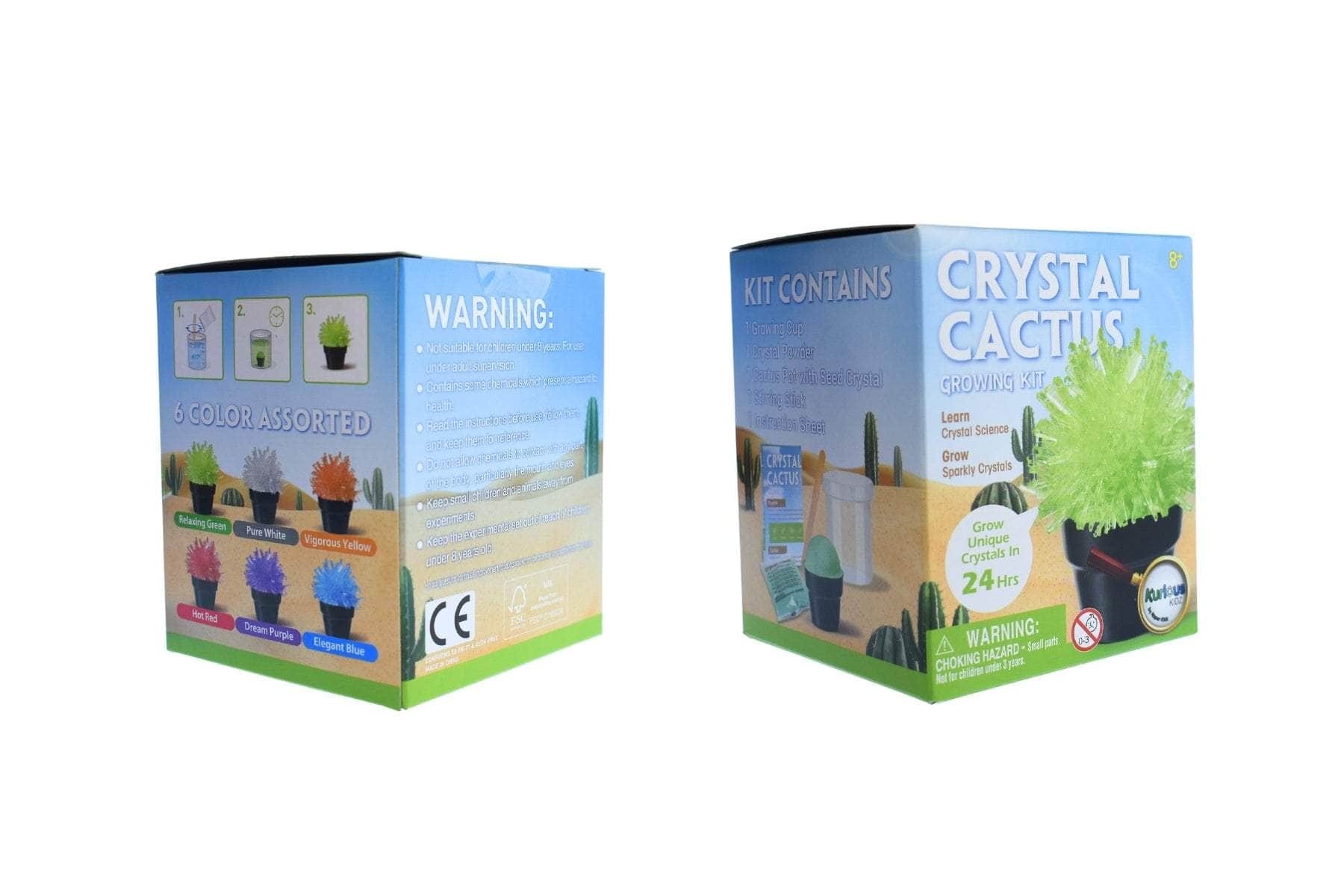Crystal cactus mini kit set of 6