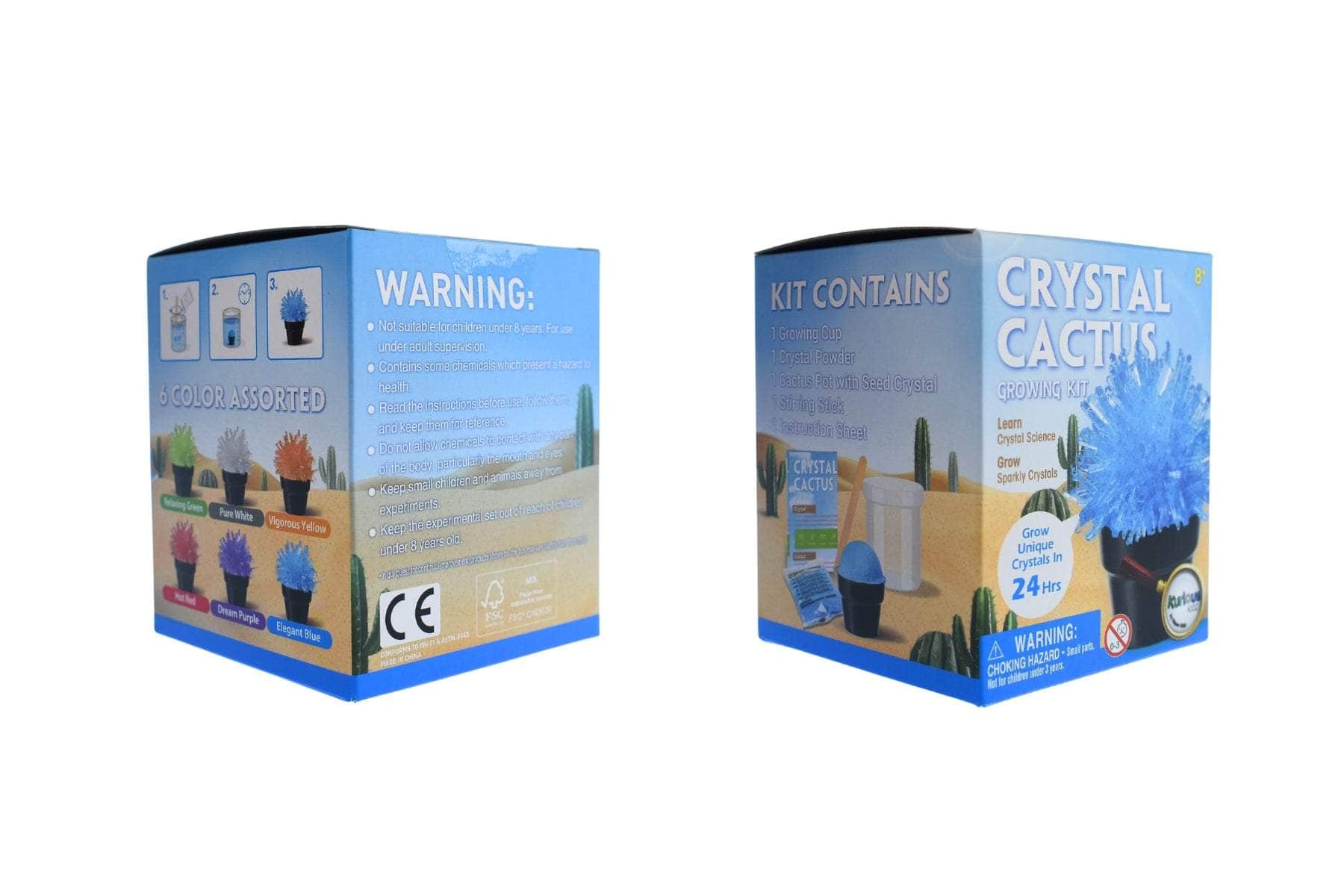 Crystal cactus mini kit set of 6