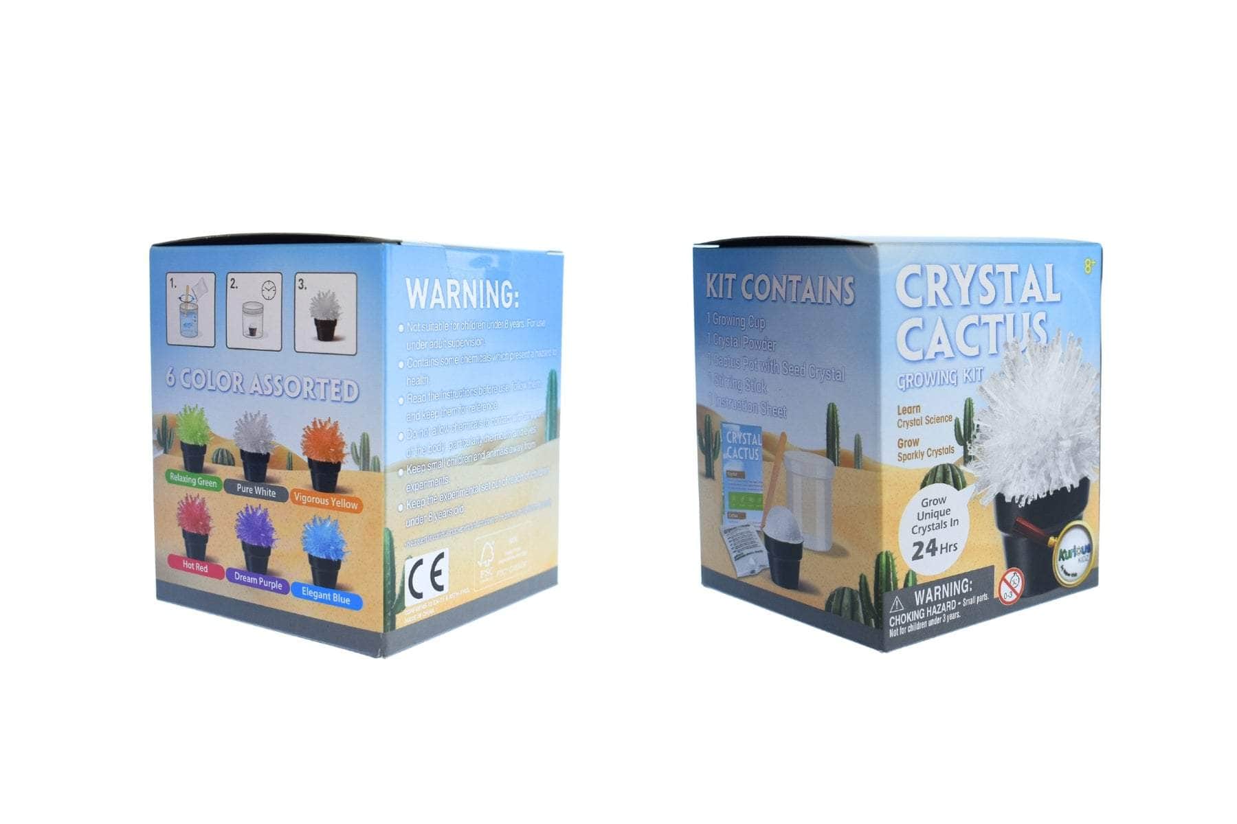 Crystal cactus mini kit set of 6