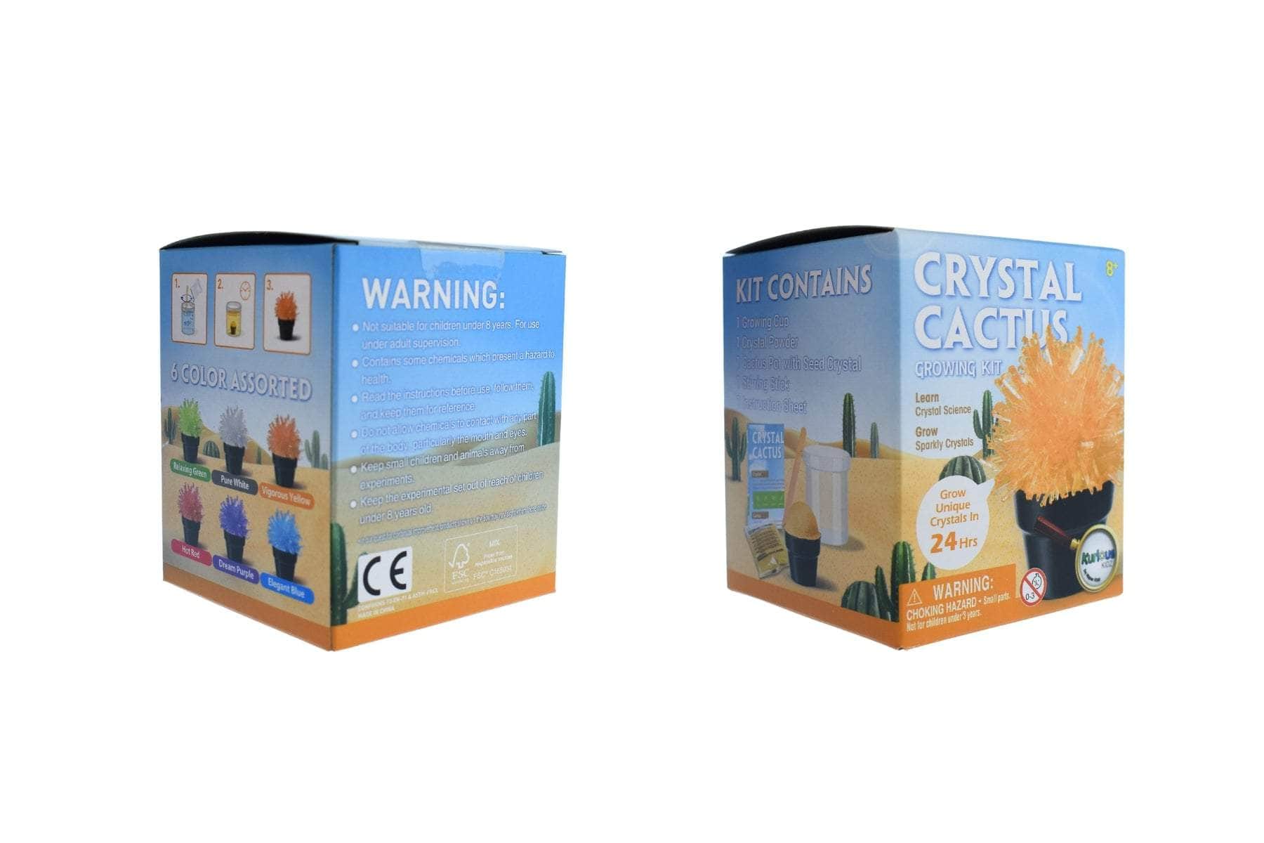 Crystal cactus mini kit set of 6