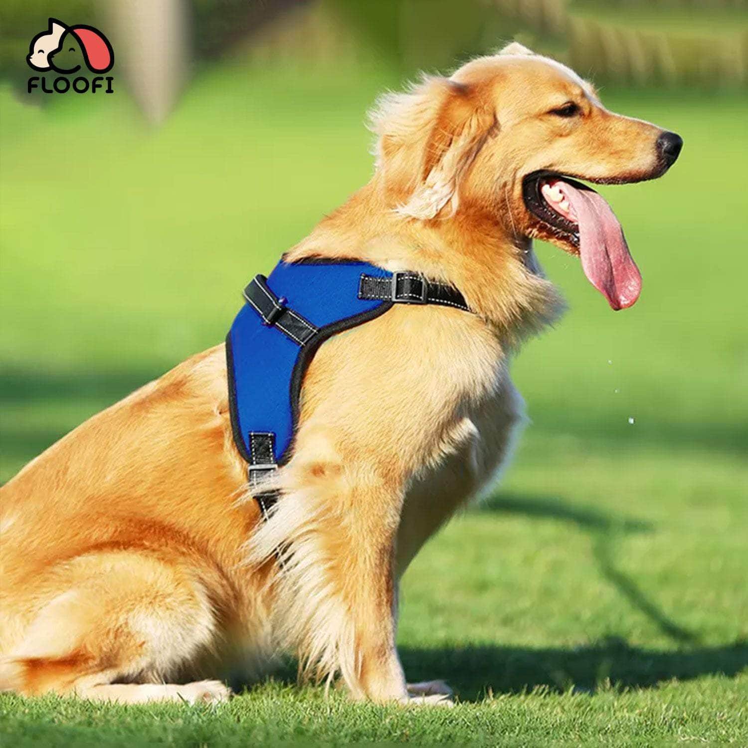 Dog Harness XXL/XL/L/M Sizes Nylon fabric