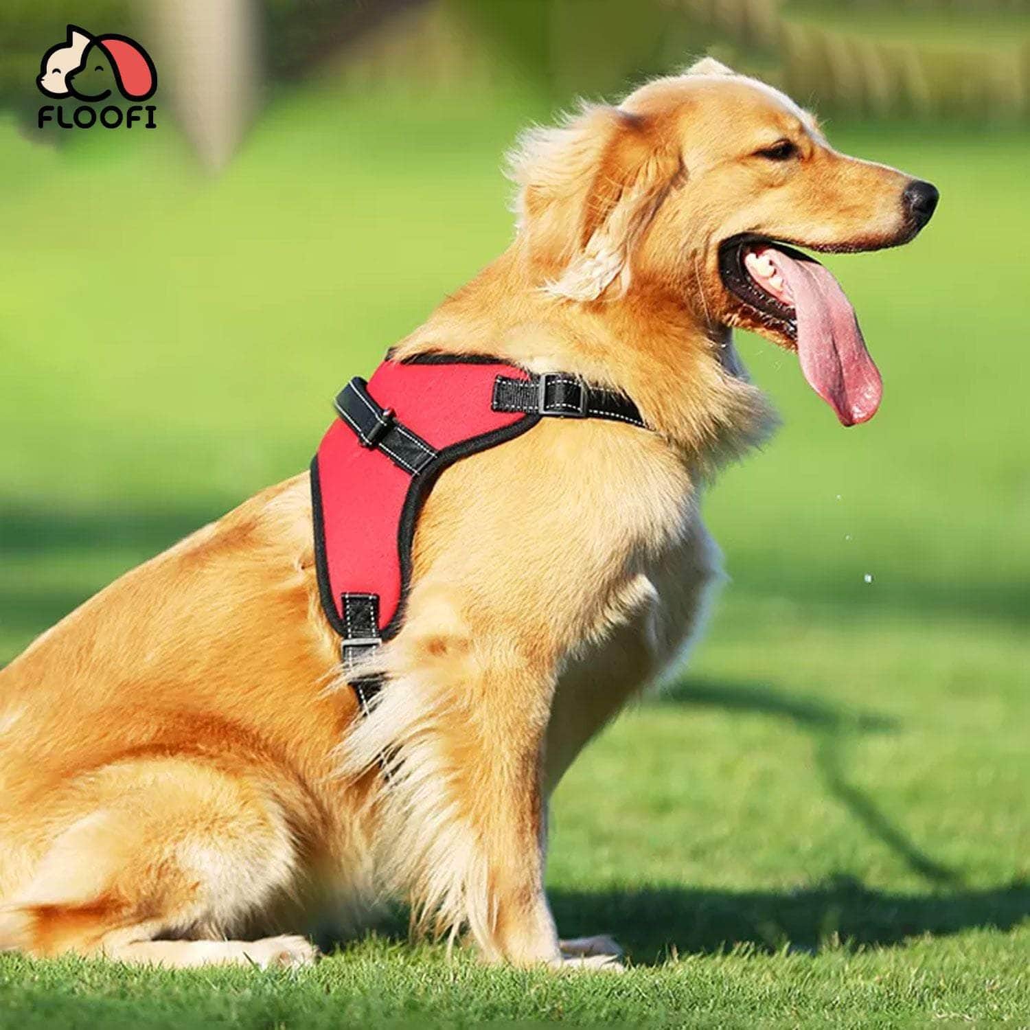 Dog Harness XXL/XL/L/M Sizes Nylon fabric
