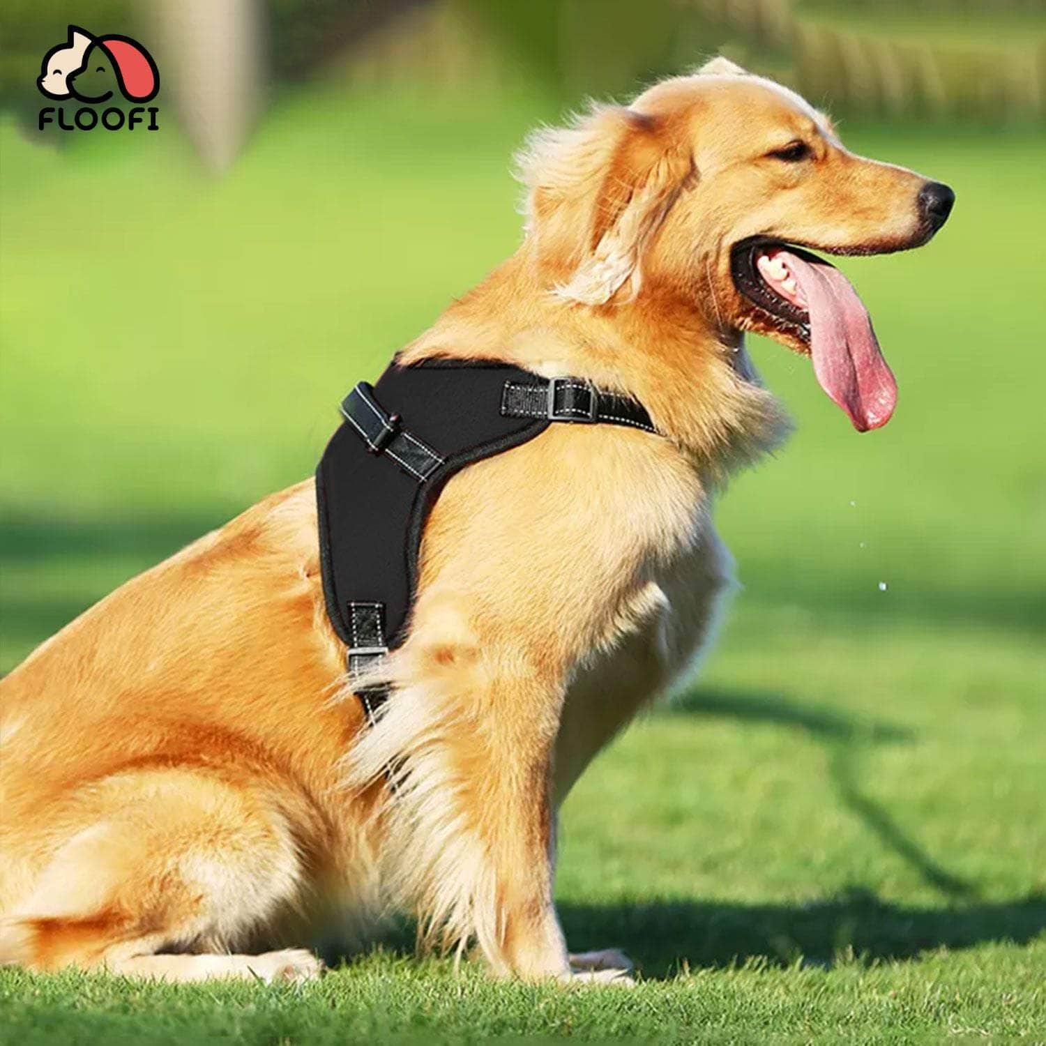 Dog Harness XXL/XL/L/M Sizes Nylon fabric