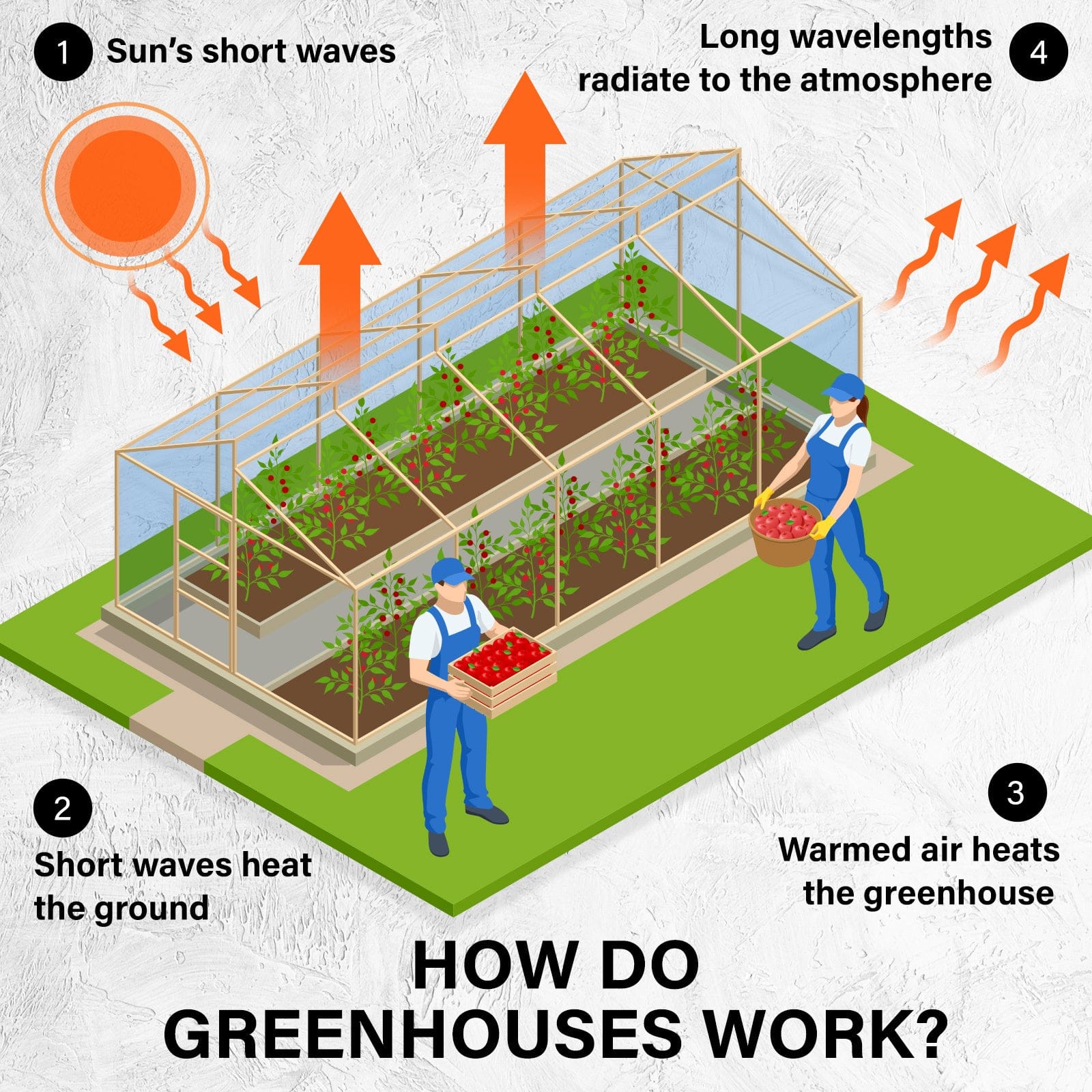 Garden Greenhouse Shed PE Cover Only 300cm Dome Tunnel with Greenhouses & Accessories