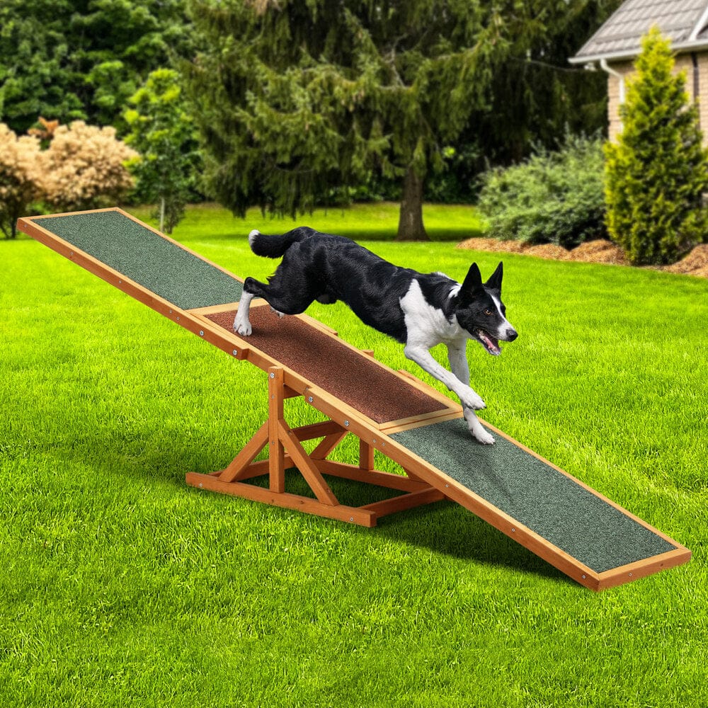 Building Confidence and Balance: The 180cm Plank for Pet Agility Training with Wooden Hutch