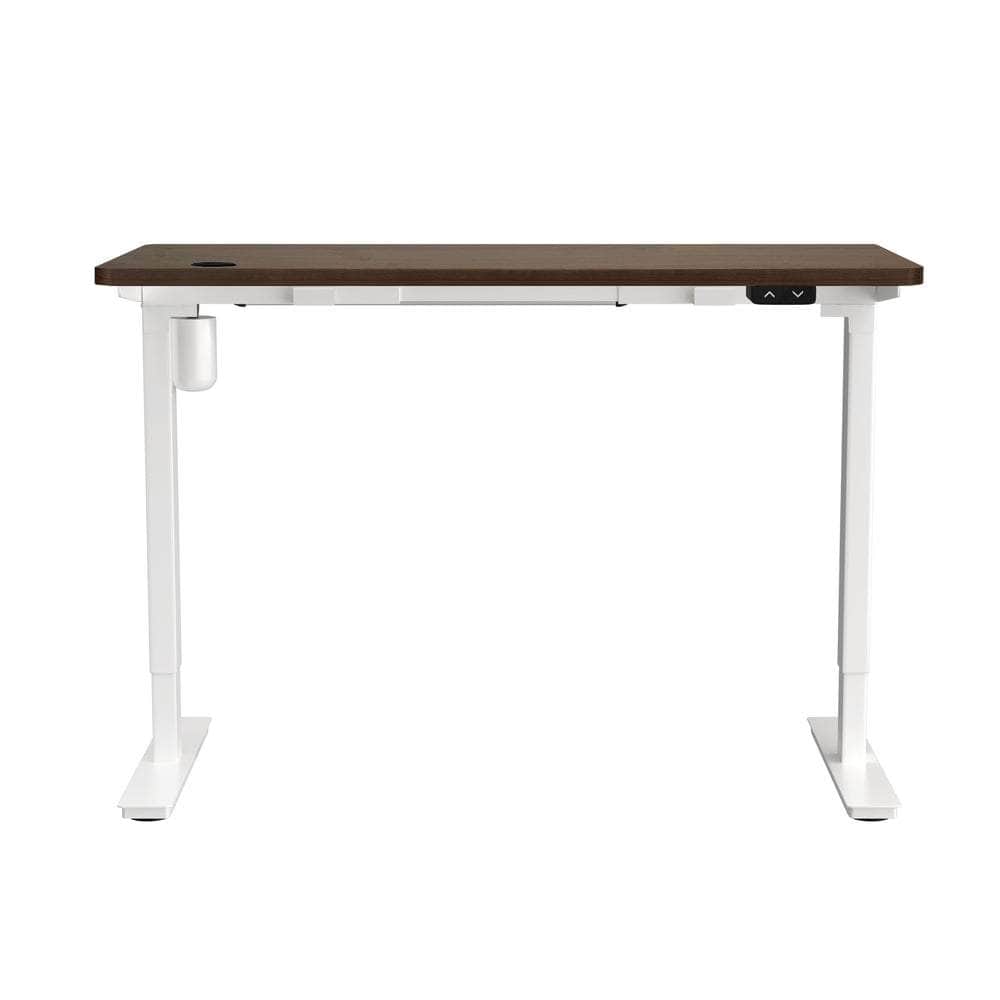 Electric Standing Desk Single Motor Height Adjustable Sit Stand Table White and Walnut 150cm