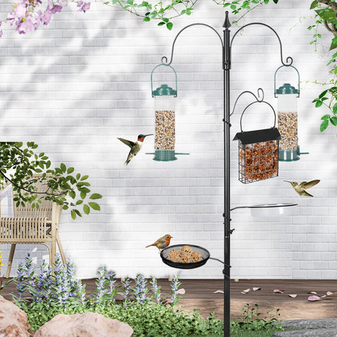 Enhance Your Garden with a Hanging Wild Seed Container