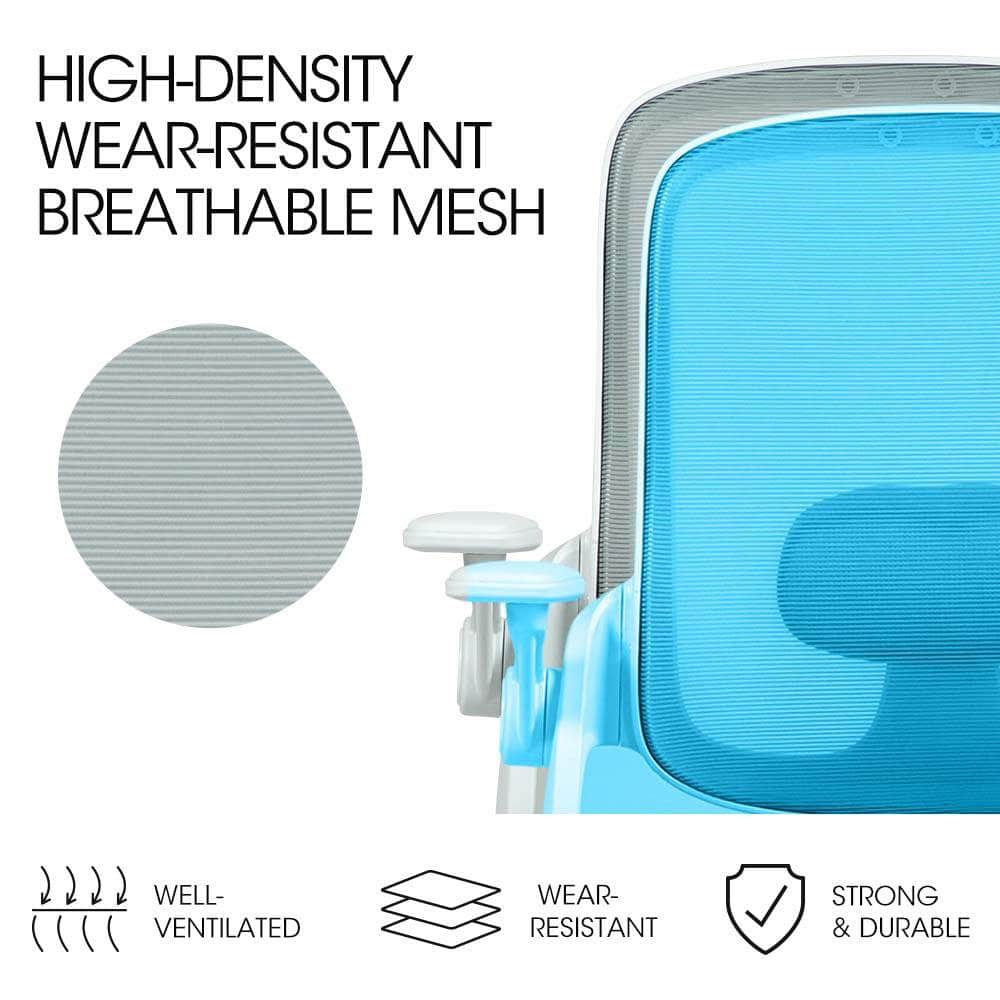Fortia Ergonomic Office Desk Chair, Coolmesh Fabric, Grey Mesh/White Frame