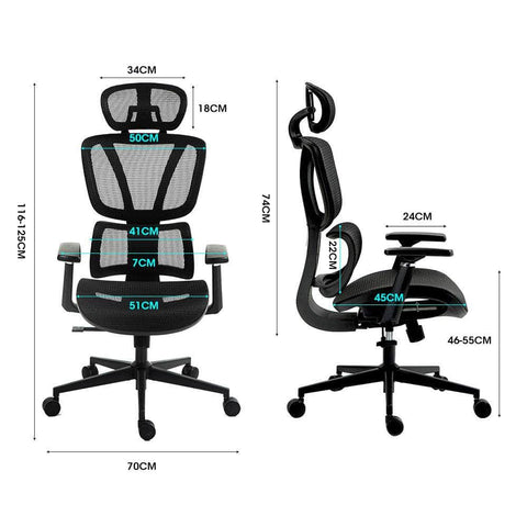 Fortia Ergonomic Office Desk Chair, Headrest, Armrest and Recline, Black Mesh/Black Frame