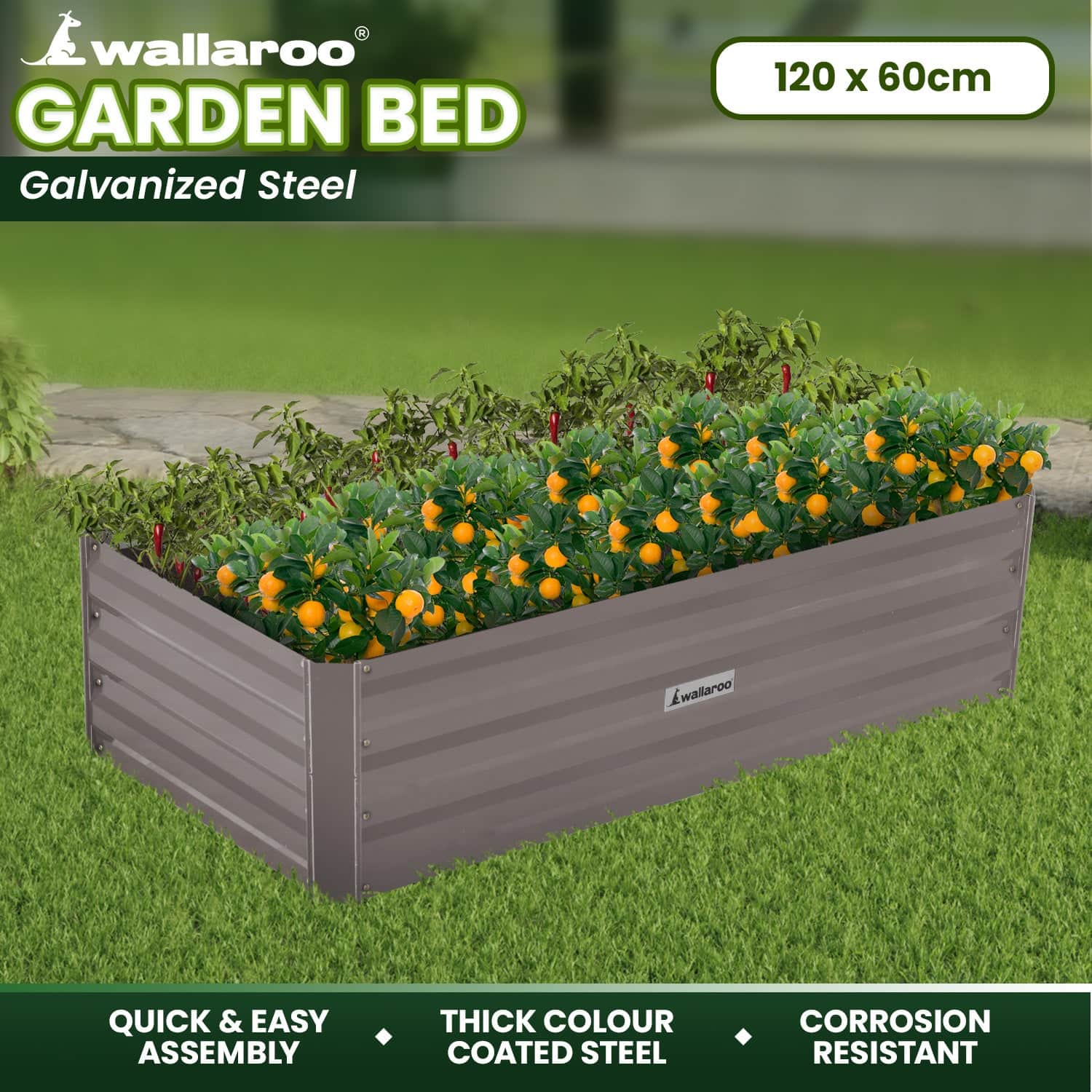 Garden Bed 120 X 60 X 30Cm Galvanized Steel - Grey