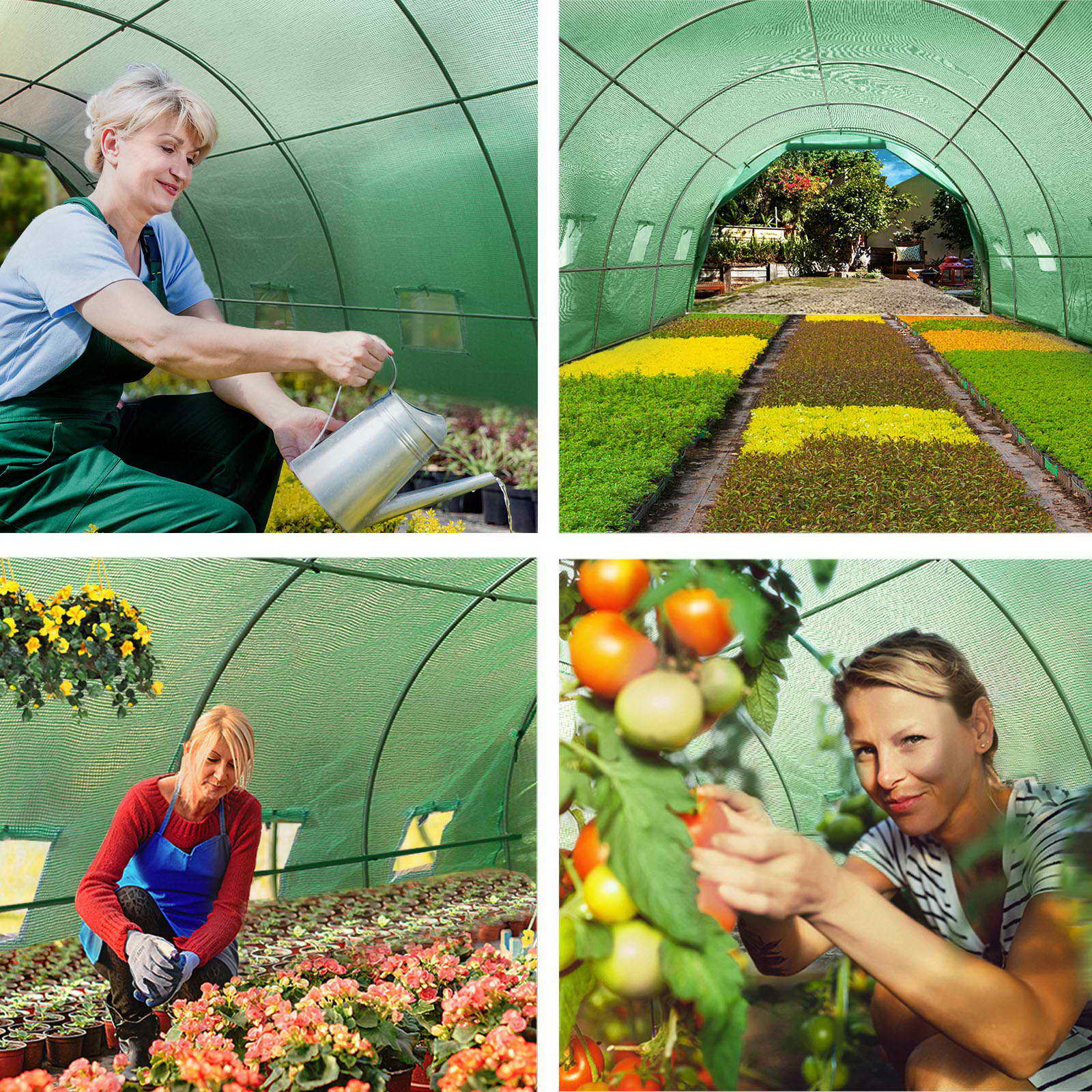 Greenhouse 6X3X2M Walk In Green House Tunnel Plant Garden Shed Dome - Greenfingers Storage Grow
