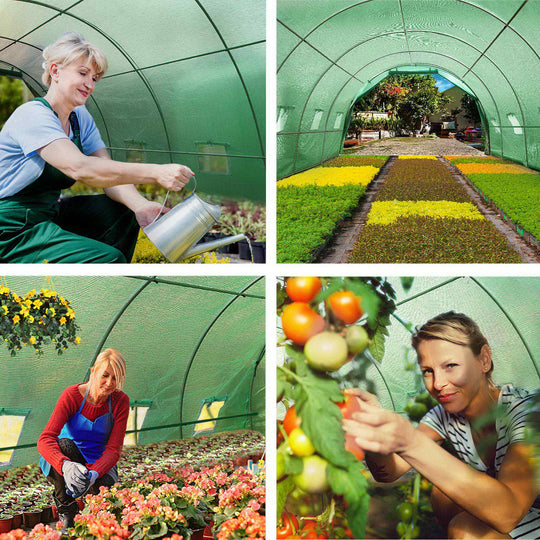 Greenhouse 6X3X2M Walk In Green House Tunnel Plant Garden Shed Dome - Greenfingers Storage Grow
