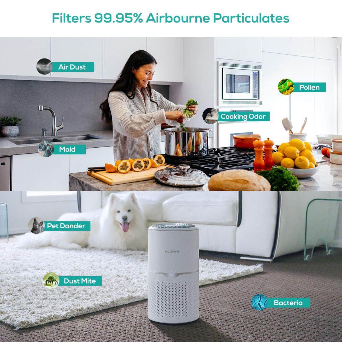Hepa Air Purifier With Uv-C Light
