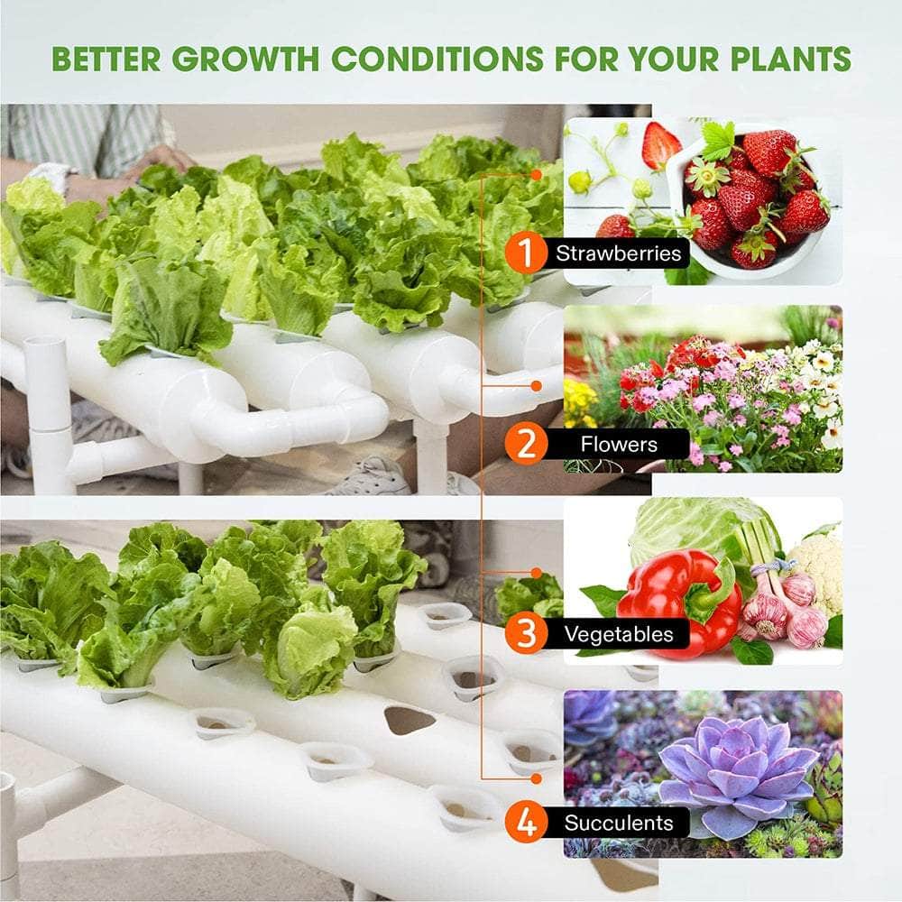 Hydroponic Grow Tool Kit: Efficient Vegetable Garden System
