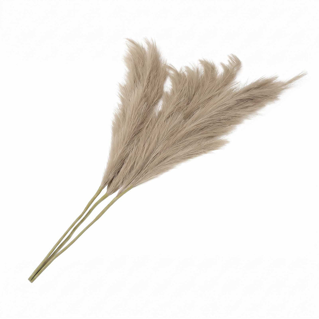 Artificial Pampas Grass Brown 3Pcs