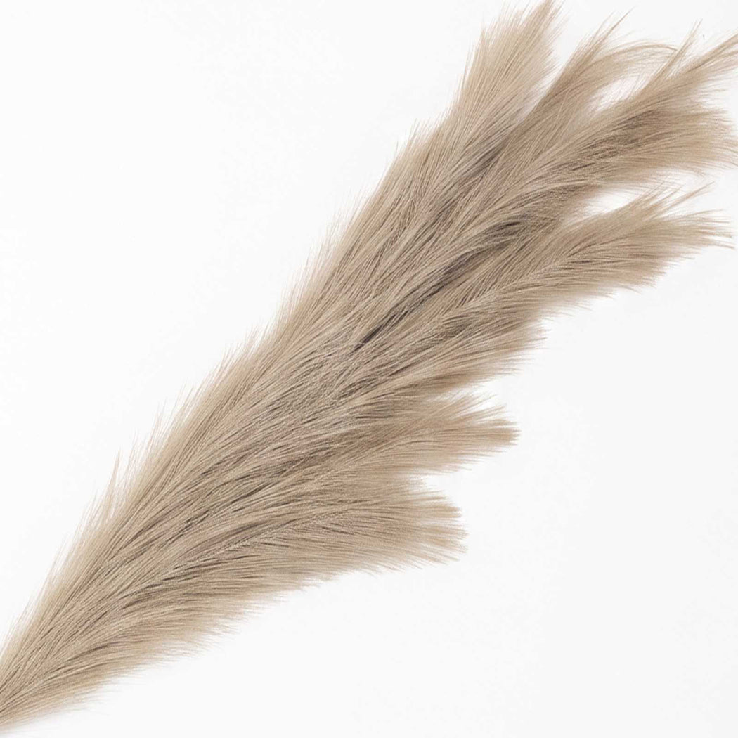 Artificial Pampas Grass Brown 3Pcs