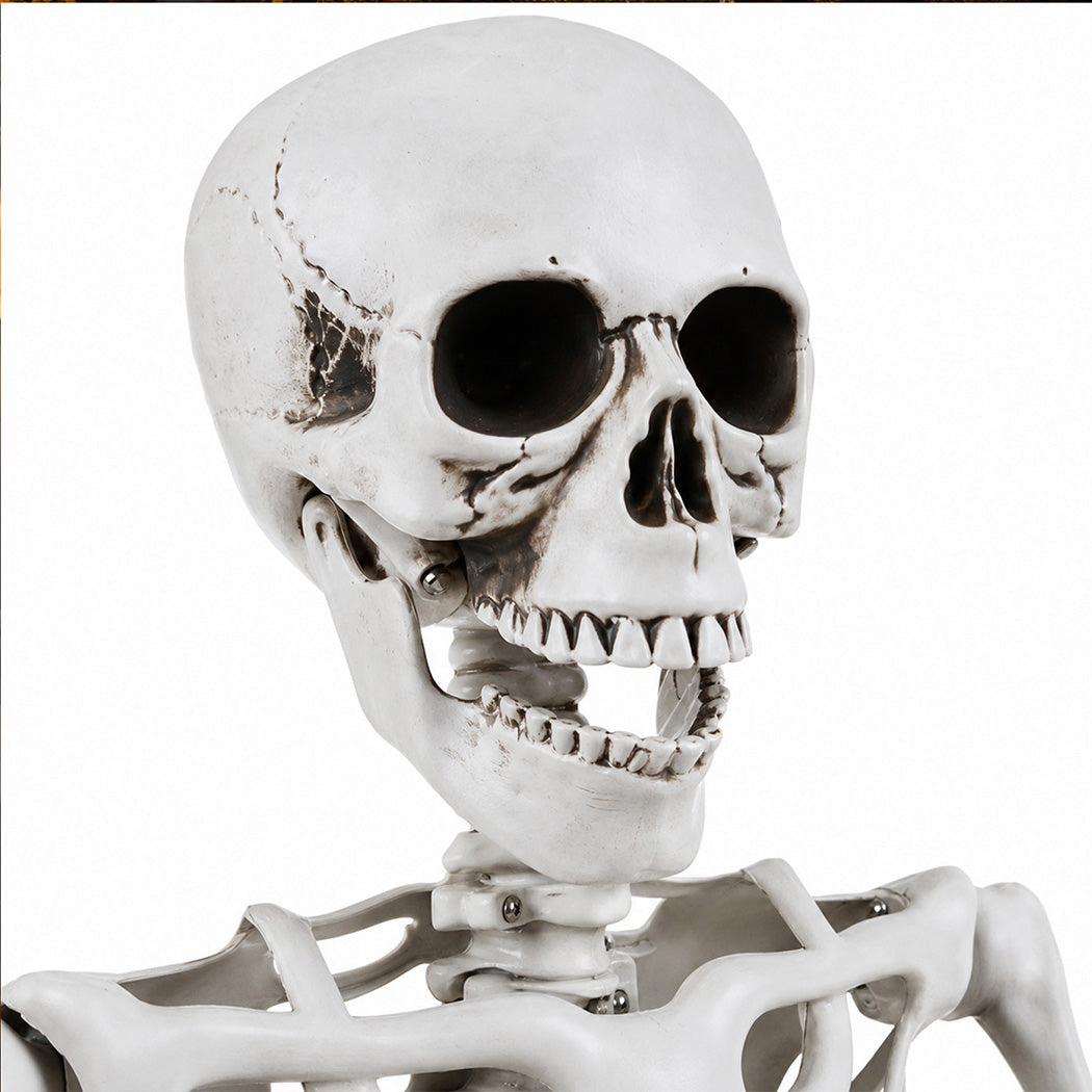 Life Size Skeleton Decoration White 169x36x11cm