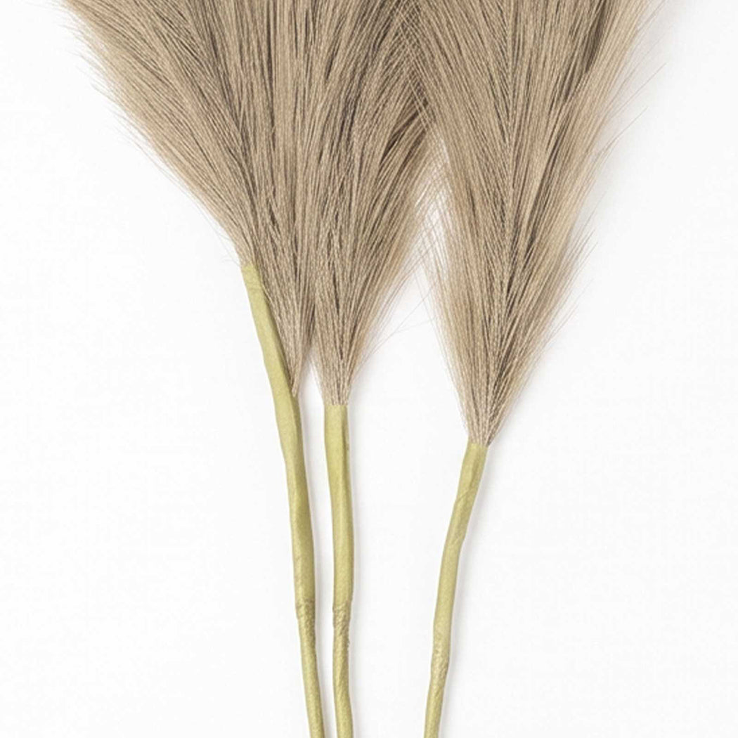 Artificial Pampas Grass Brown 3Pcs