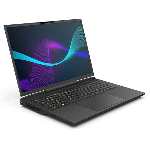 Infinity 17.3in WQXGA 240Hz 1TB SSD 16GB RAM W11H Gaming Laptop | Example.com