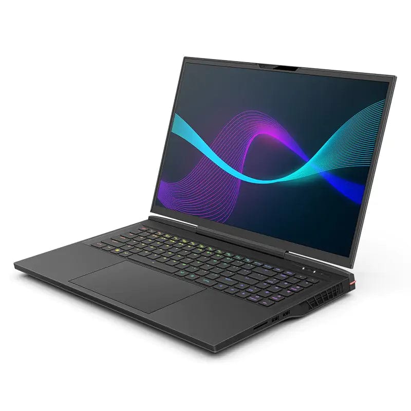Infinity 17.3in WQXGA 240Hz 1TB SSD 16GB RAM W11H Gaming Laptop | Example.com