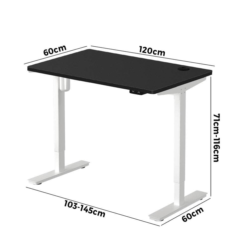 LiftMate Single Motor Electric Standing Desk