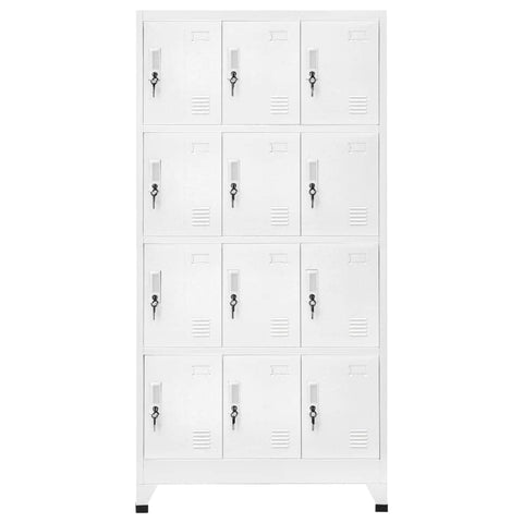 Locker Cabinet with 12 Compartments