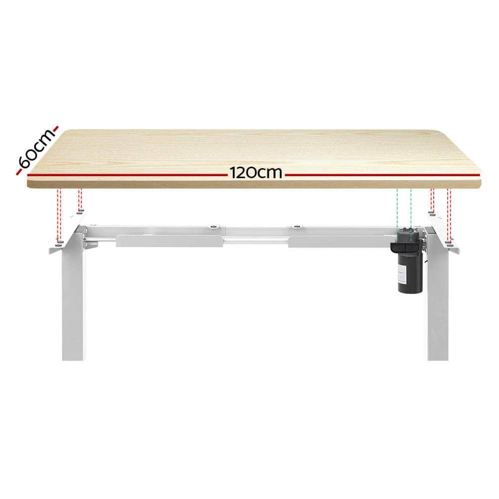 Motorised Adjustable Sit Stand Desks | Electric Standing Desk in Black Oak