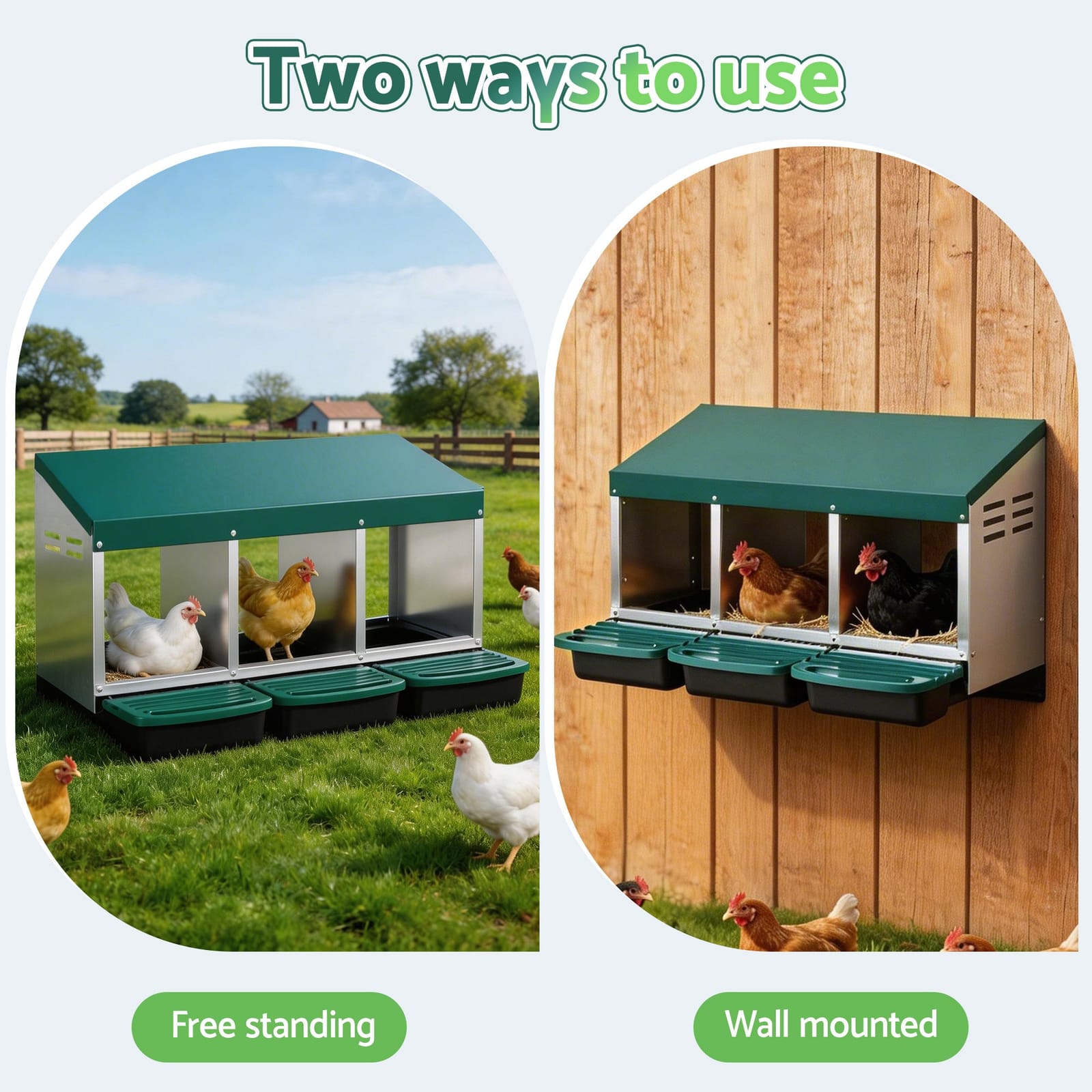 Green colour - Chicken Nesting Box 3 Holes Roll Away Galvanized Metal Wall Mount Green