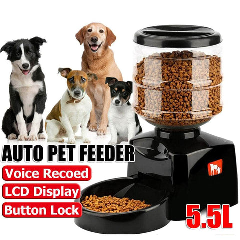 Pet Feeder: Automatic Dispenser For Cats & Dogs