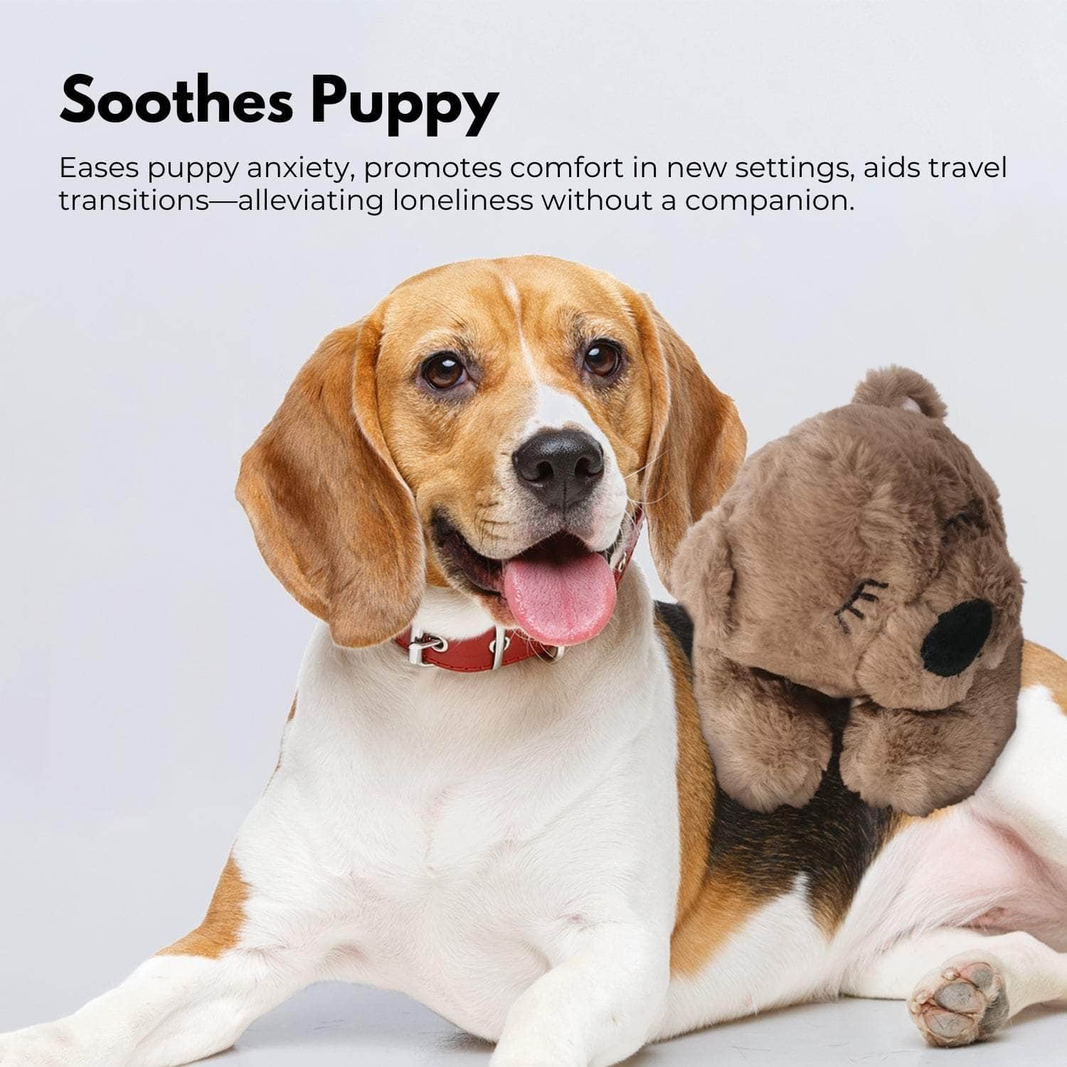Pets Soft Plush Toy(Brown)