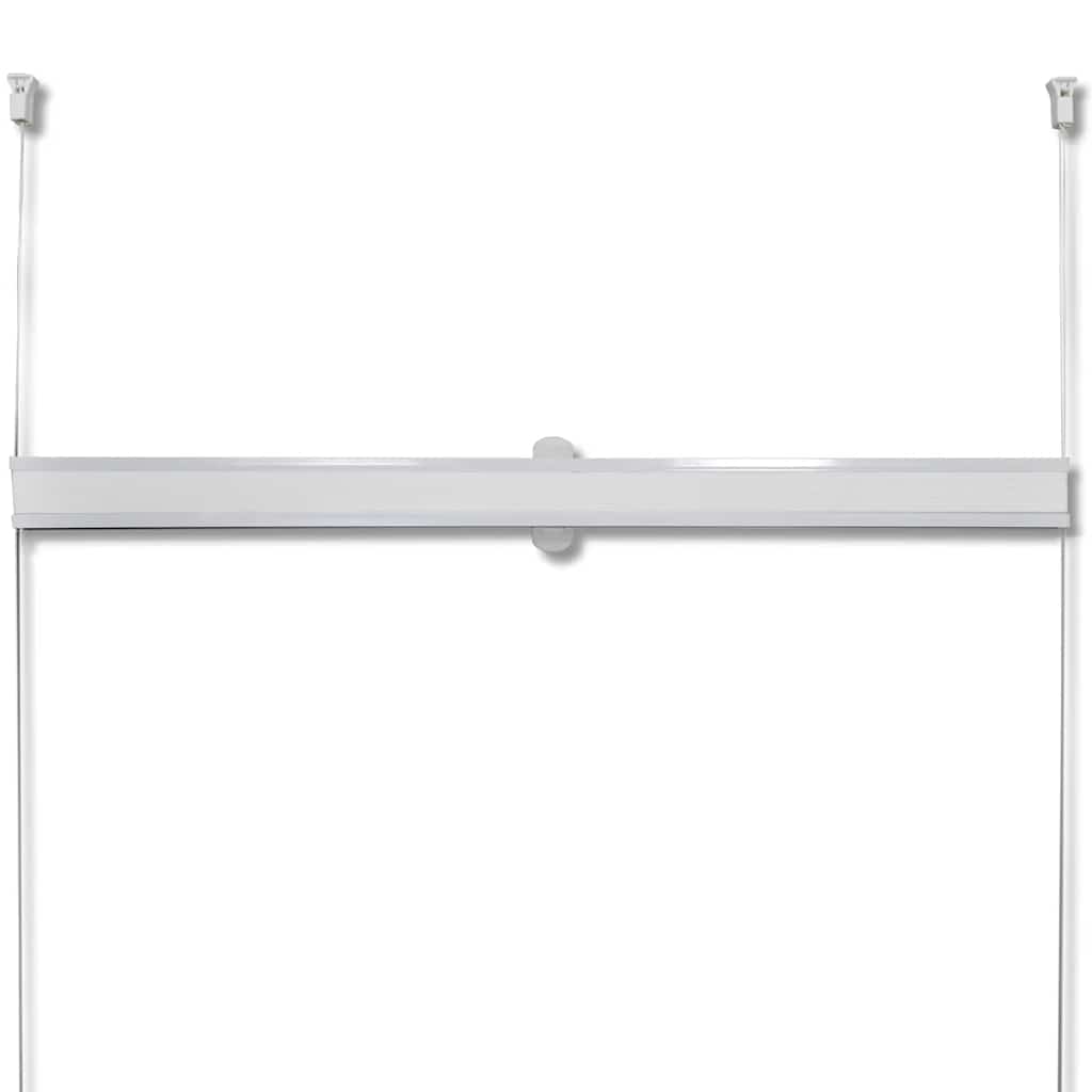 Plisse Blind White Pleated Blind Aluminum