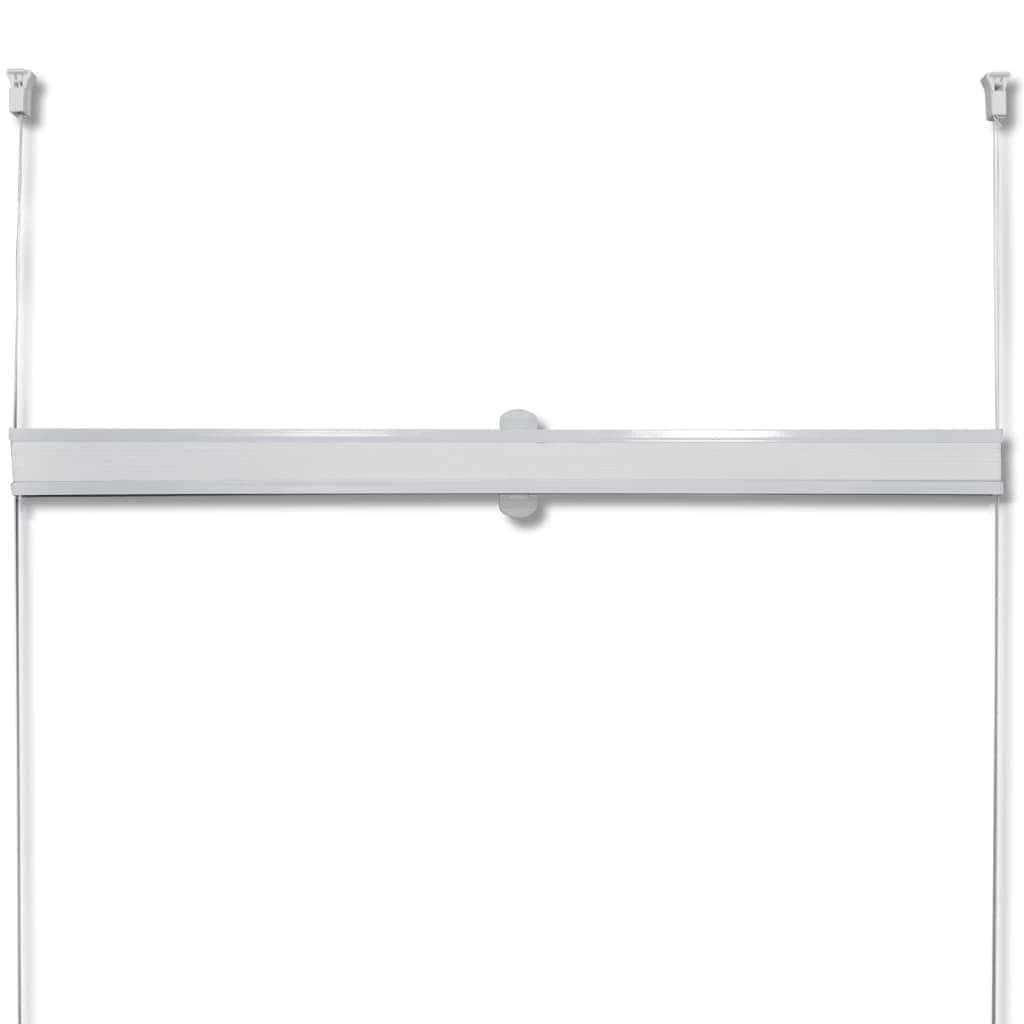 Plisse Blind White Pleated Blind S