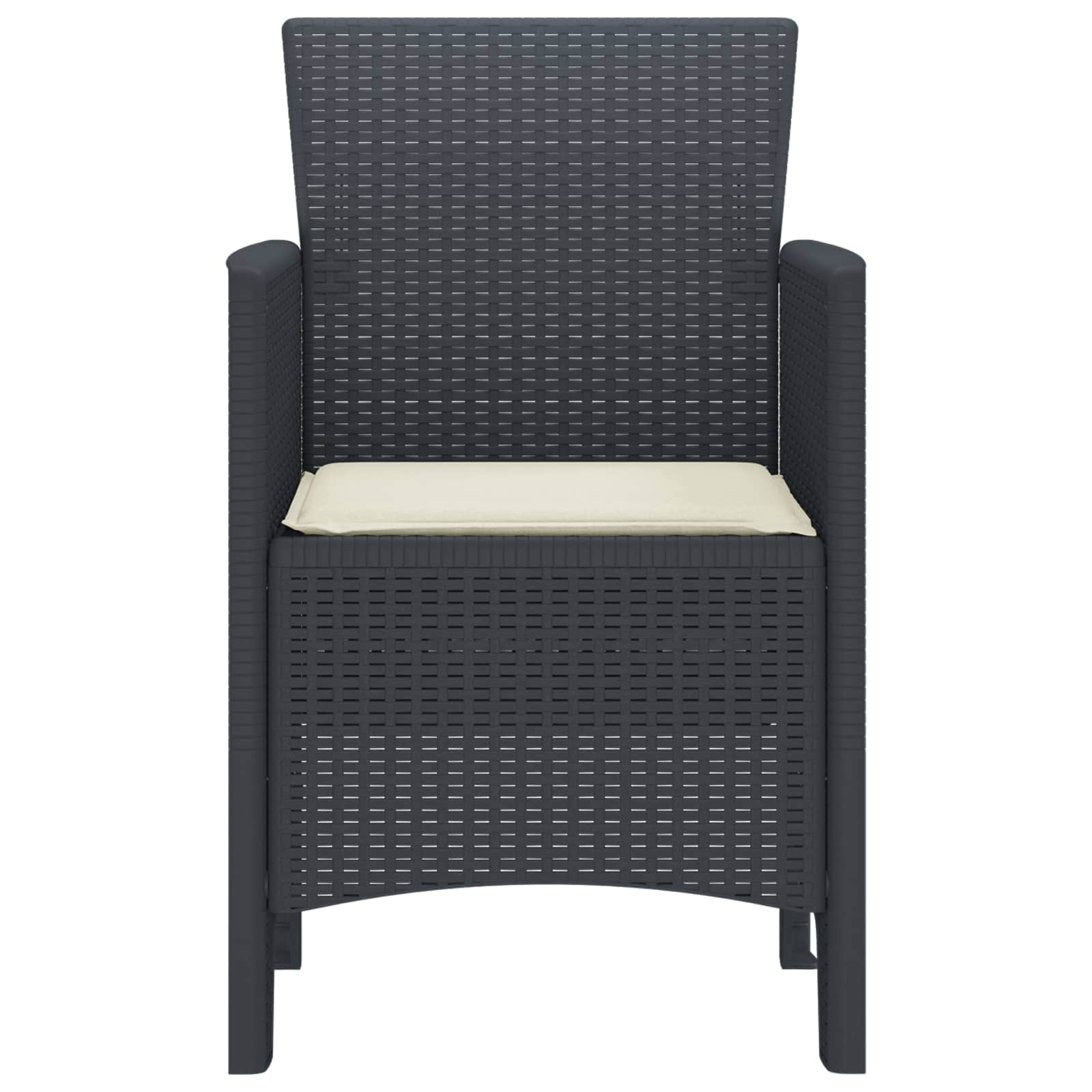 Premium Garden Chair 4 pcs Anthracite Living Space Upgrade Essentials