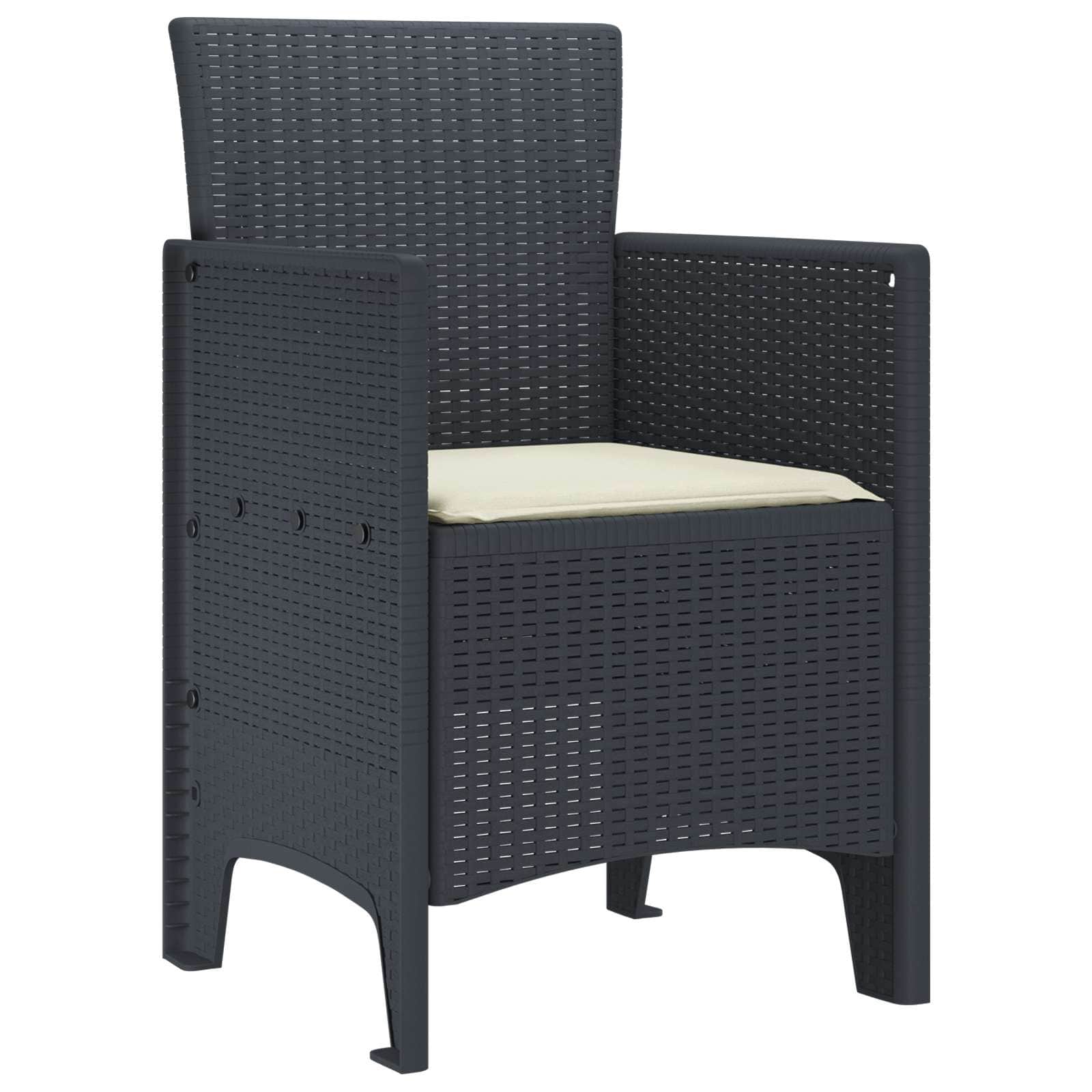 Premium Garden Chair 4 pcs Anthracite Living Space Upgrade Essentials