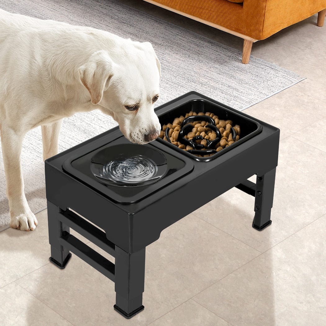 Raise Your Pet's Dining Experience: Height-Adjustable Feeder