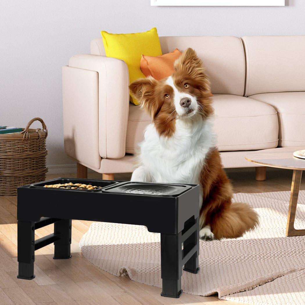 Raise Your Pet's Dining Experience: Height-Adjustable Feeder