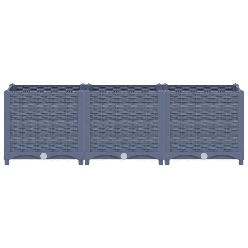 Raised Bed Polypropylene