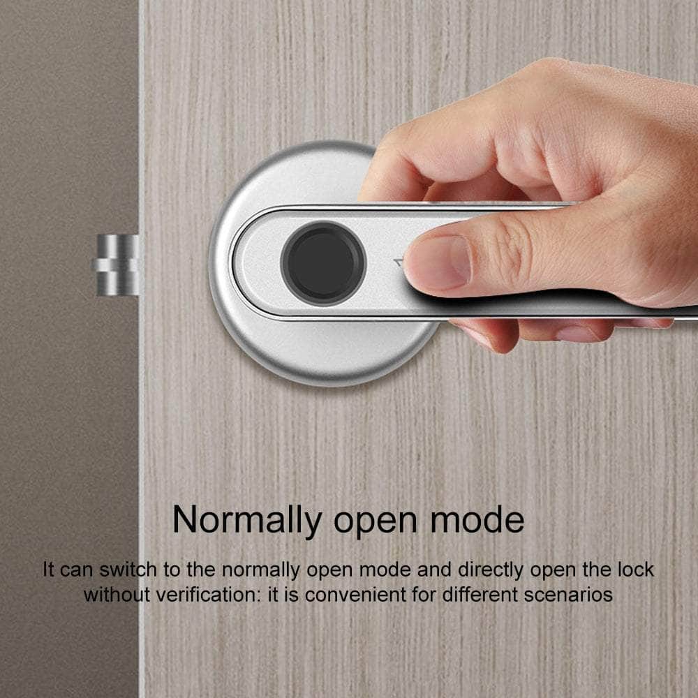 Smart Fingerprint Door Lock Electronic Handle Digital Bluetooth Key APP