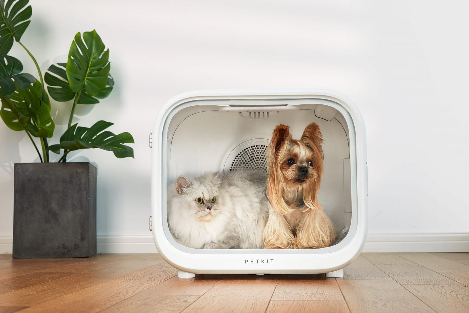 Airsalon Smart Pet Dryer Box | Pet Grooming Supplies - photo 6