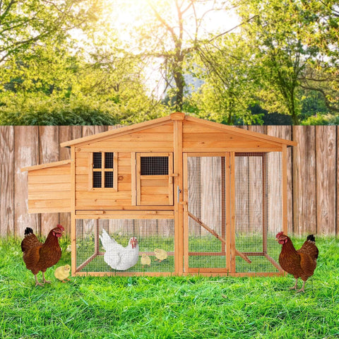 Spacious Chicken Coop & Rabbit Hutch with Ramp