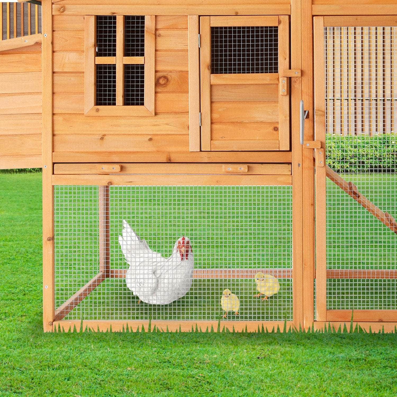 Spacious Chicken Coop & Rabbit Hutch with Ramp | living > pets - photo 6