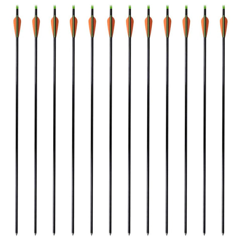 Standard Compound Bow Arrows 30