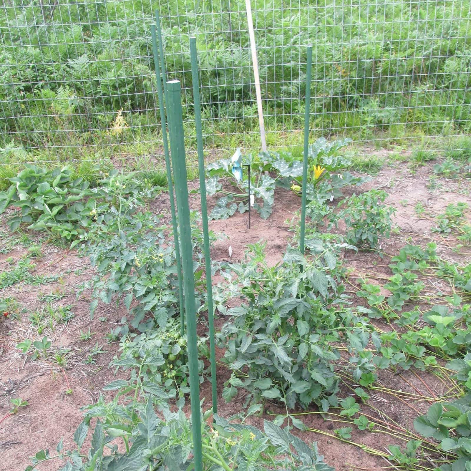 Steel Stakes For Garden Plant Support (11Mm X 180Cm)