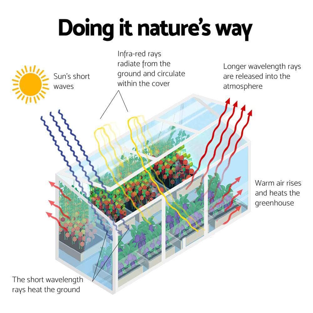 The Ultimate Aluminium Greenhouse Haven