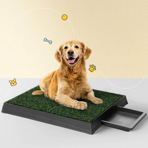 Training Pad Portable Dog Potty with Grass Mat